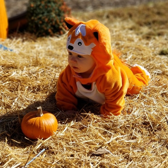 Meet your Posher, Foxy Joyce - Picture 4 of 7